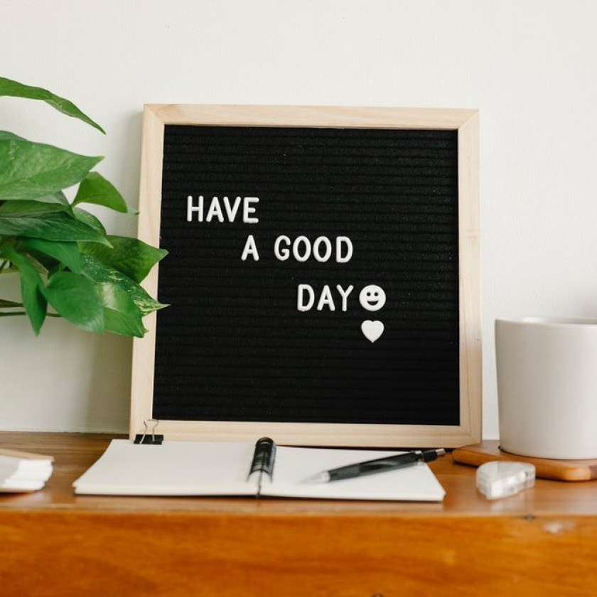 11 loại cây nội thất đem lại sức sống cho bàn làm việc và không gian văn phòng của bạn